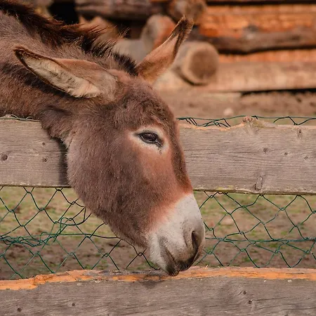 Brotzeitalm * Пфаррверфен